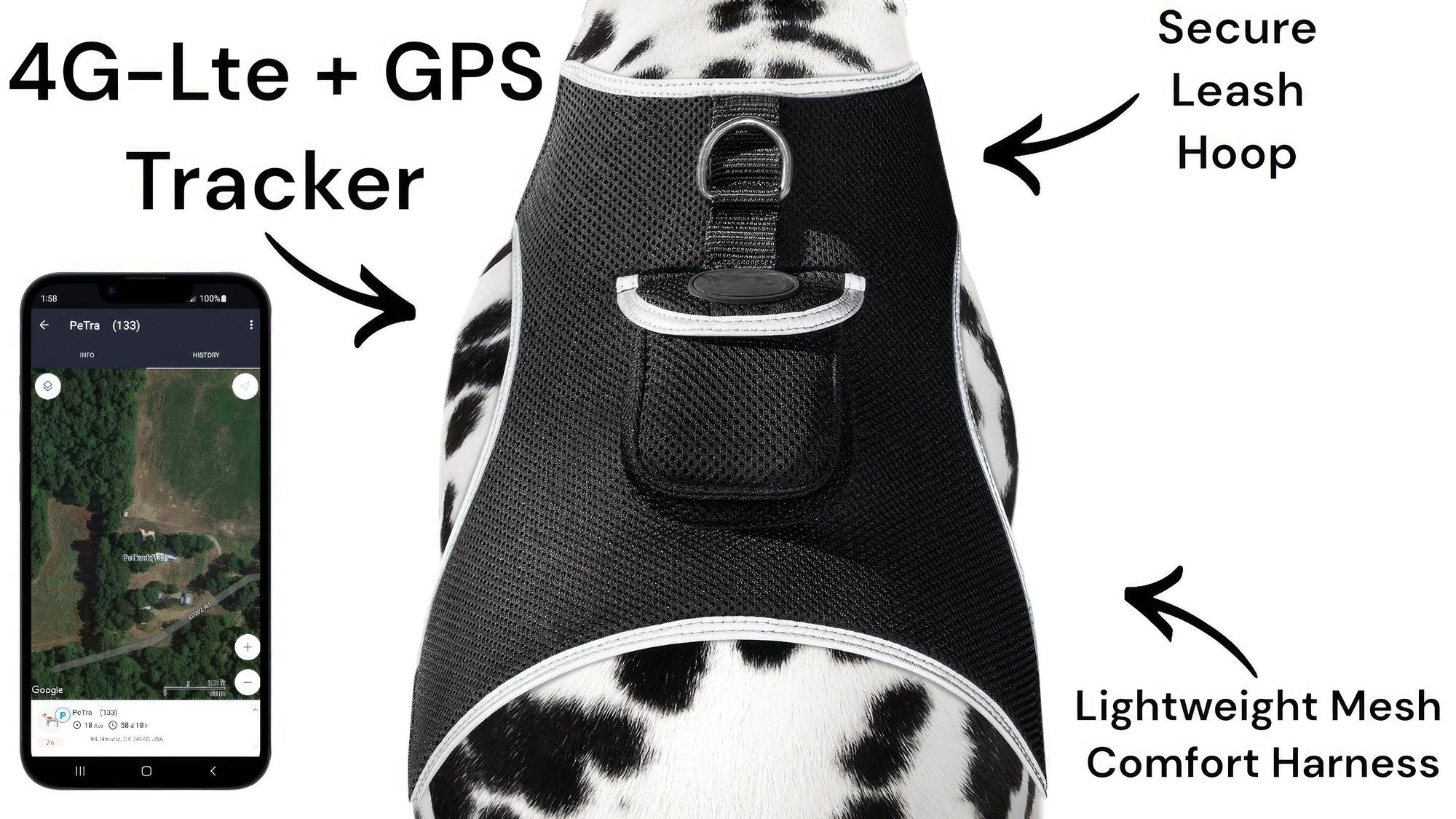 519493141